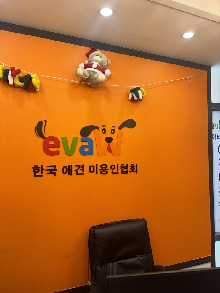  홍대애견미용학원 선착순오픈이벤트&12월할인혜택(대전아카데미 준비 중)
