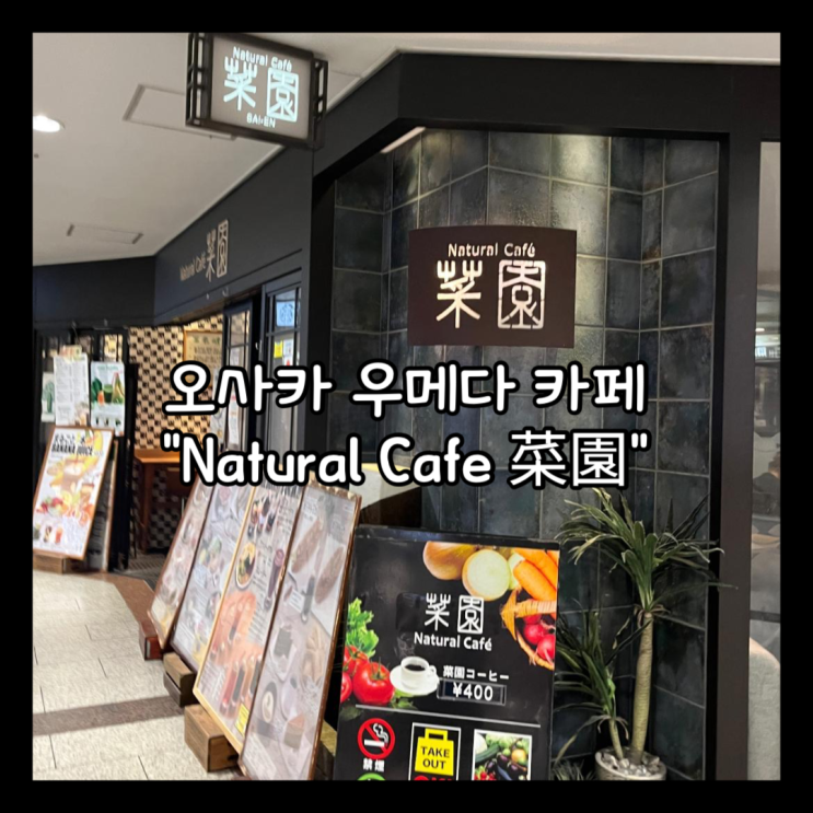  [일본] 오사카 우메다 한큐 선히로바치카도오리 아침, 브런치 가능한 카페 "Natural Cafe 菜園" 내돈내산