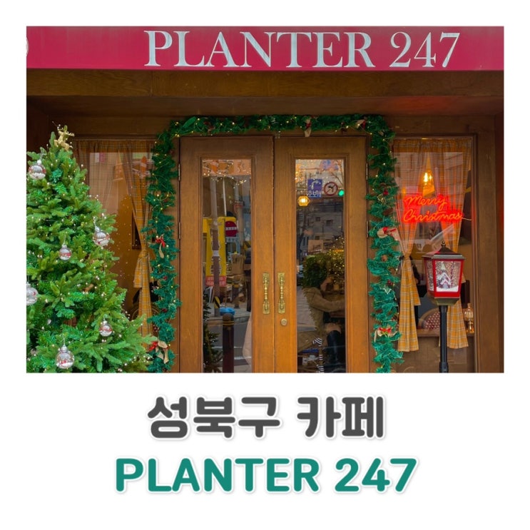  성신여대 근처 / 크리스마스 분위기 / PLANTER247 플랜터247 카페️