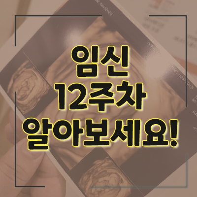  [초보아빠일기] 12주차 기형아검사, 눈물나게 기쁜 임신이야기