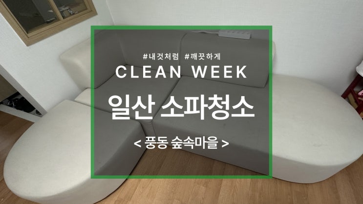  일산 패브릭소파 세탁 풍동 숲속 마을 아쿠아 소파 청소 이야기