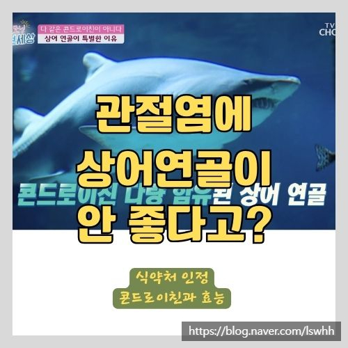  의사가 알려주는 퇴행성 관절염에 좋은 콘드로이친 효능과 고르는 법 - 무릎통증/손통증/발목통증