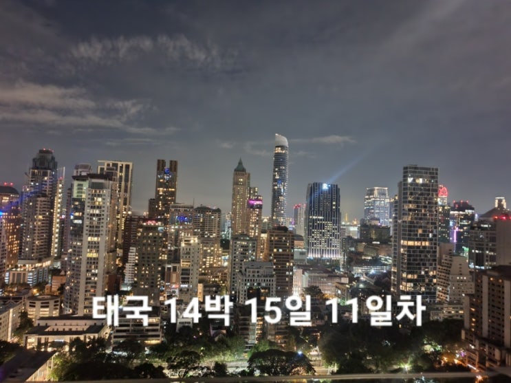  태국 14박15일 11일차 파타야에서 방콕 입성 더버클리 빠뚜남호텔 체크인 고앙 빠뚜남 남 치킨 라이스 Char Bangkok 루프탑바