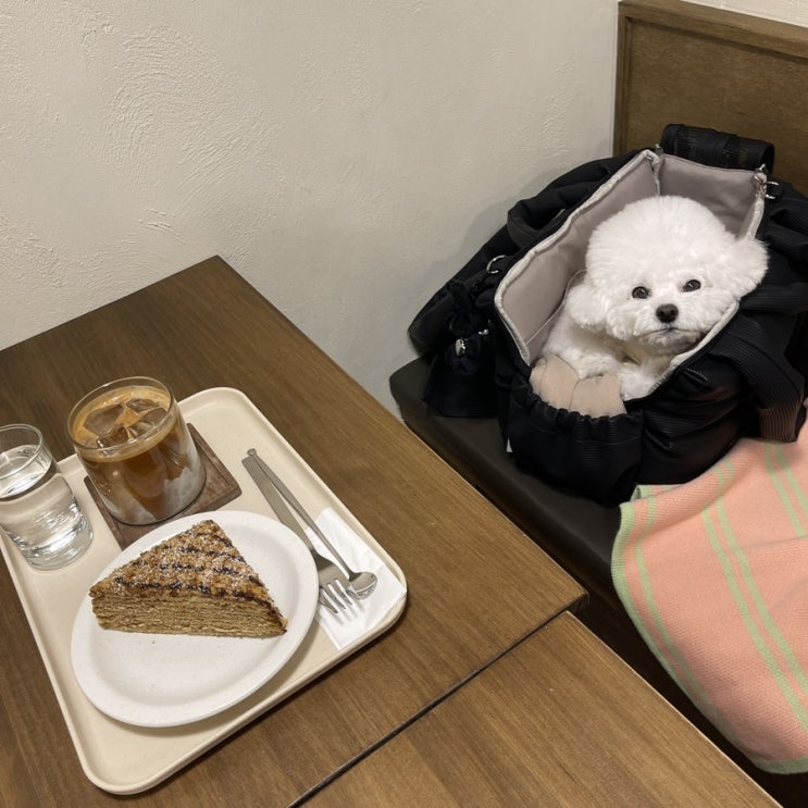  남양주 다산 애견 동반 카페 싸인즈 커피 바(SIGNS COFFEE BAR) 후기