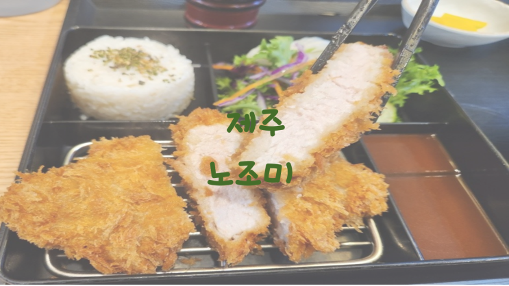 [제주우동맛집]노조미/돈까스, 일본우동 전문점/붓가케우동 맛집