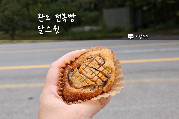  완도 전복빵 파는 곳 완도카페 달스윗 장보고빵