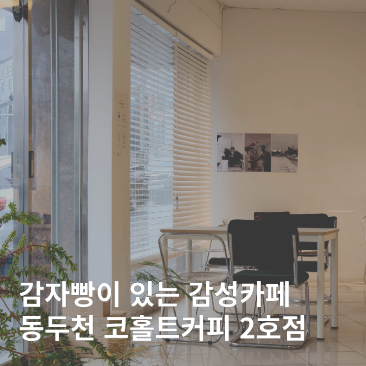  동두천 지행역 감자빵 감성 카페 :: 코홀트커피 2호점 후기