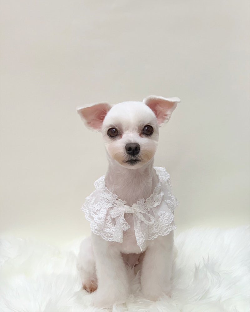 사진 4