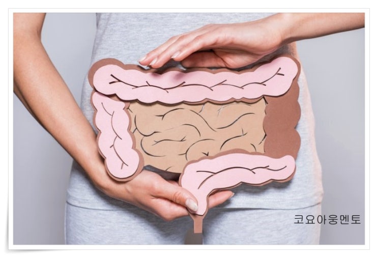 장에 좋은 음식 한국인 필수 식품