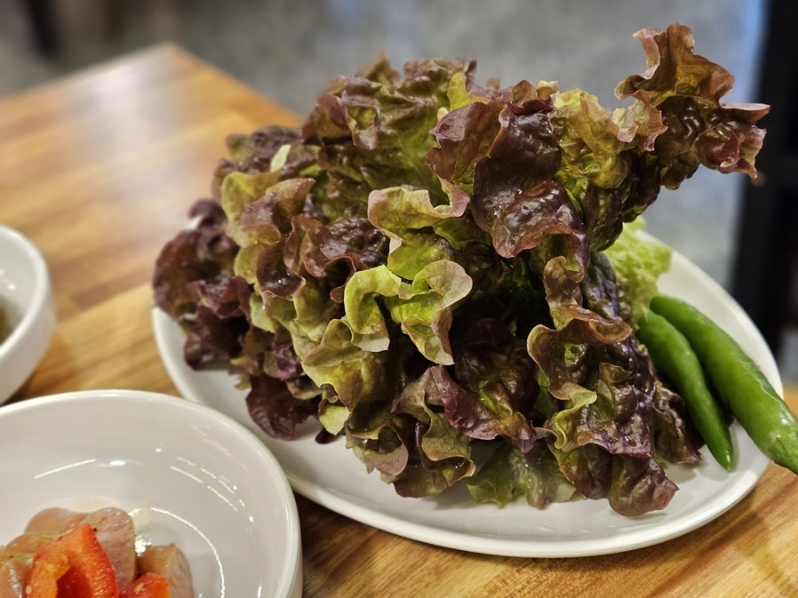 처용산오리 사진 6