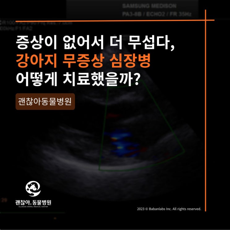  강아지무증상심장병 치료, 평택 고덕 괜찮아 동물병원과 함께 (평택 오성면 동물병원)
