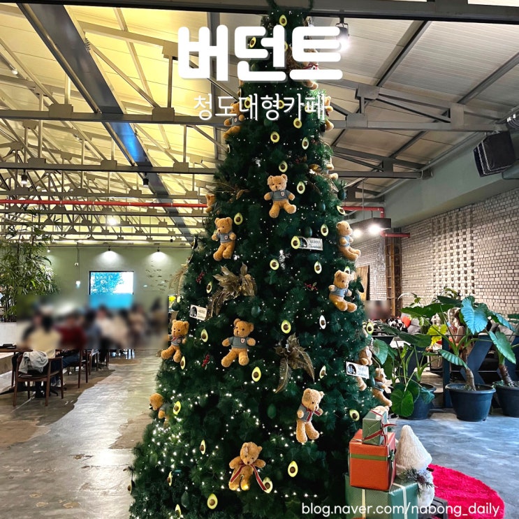 청도 버던트 대형카페 청도프로방스빛축제 근처 카페