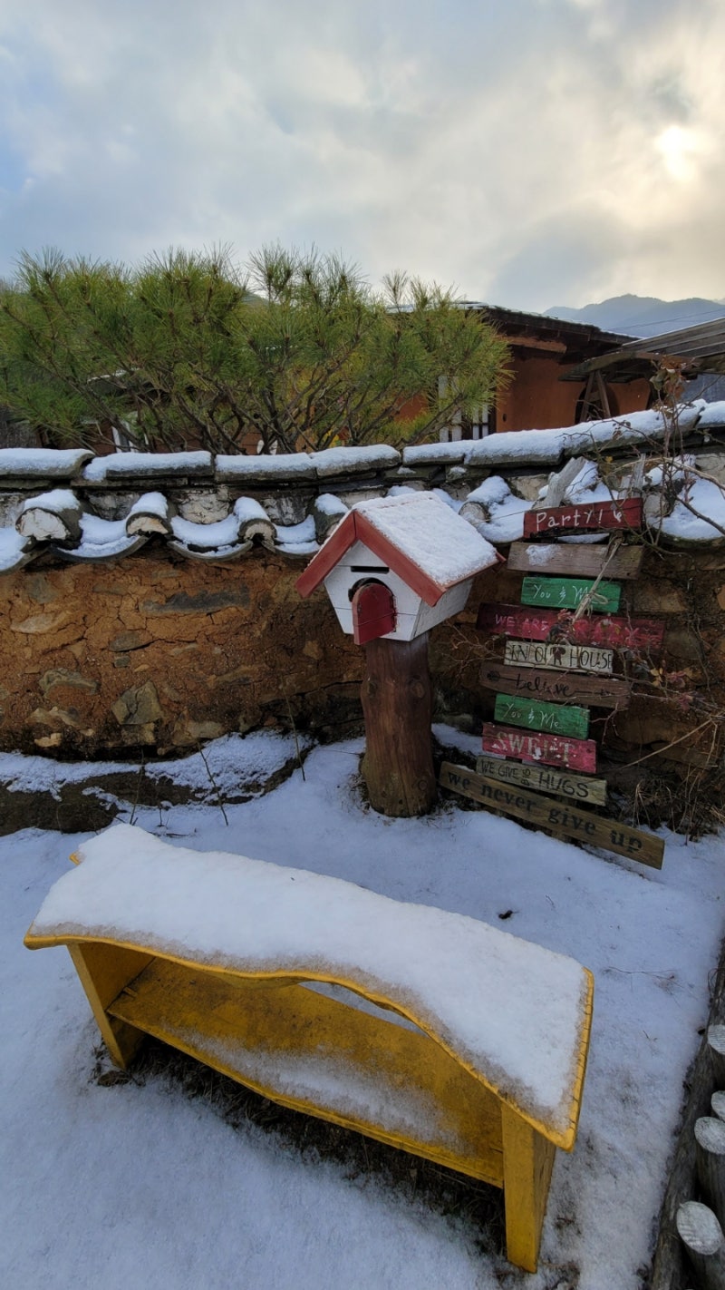 혼자만 그림체가 다른 고양이 | TikTok, image size:800x1422