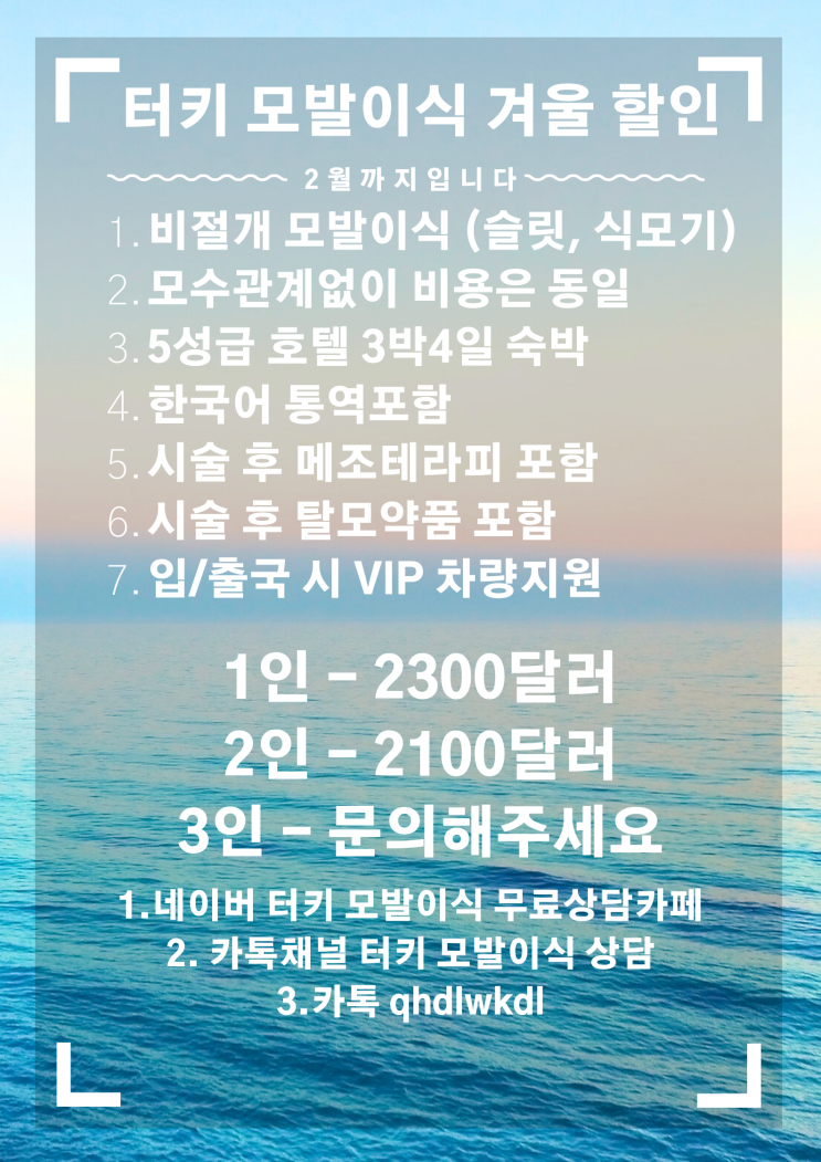  이번 겨울 터키 비절개 모발이식 비용입니다 :)