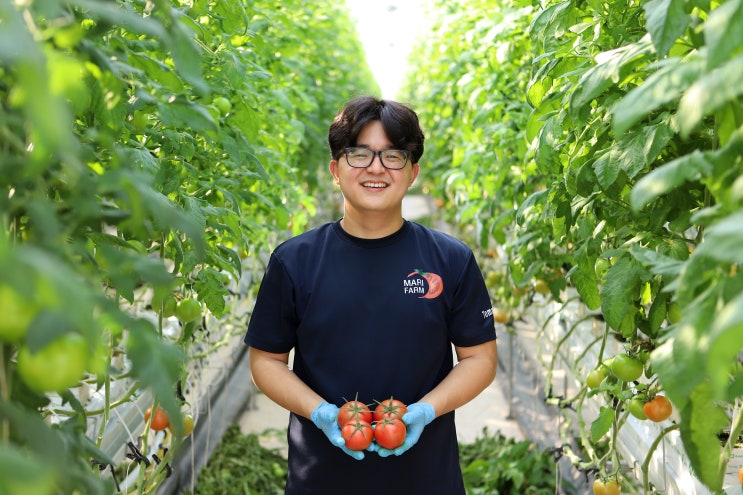  유럽종 토마토, 고를 때 확인해야 할 2가지?