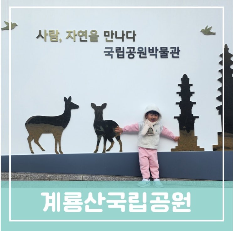 아이들과 수통골 빈계산 등산 계룡산국립공원 박물관 구경과 수통골산책 아이들과 수통골 빈계산 등산 계룡산국립공원 박물관 구경과 수통골산책