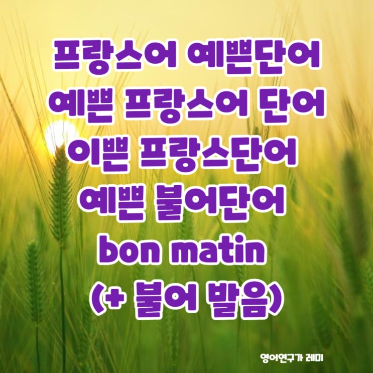 프랑스어 예쁜단어 예쁜 프랑스어 단어 이쁜 프랑스단어 예쁜 불어단어 bon matin (+ 불어 발음)