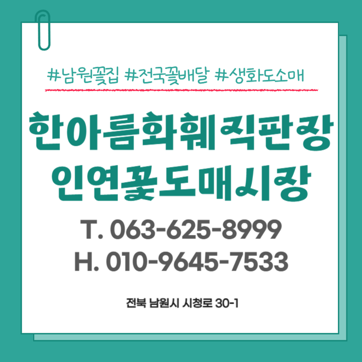 한아름화훼직판장 인연꽃도매시장 사진 3