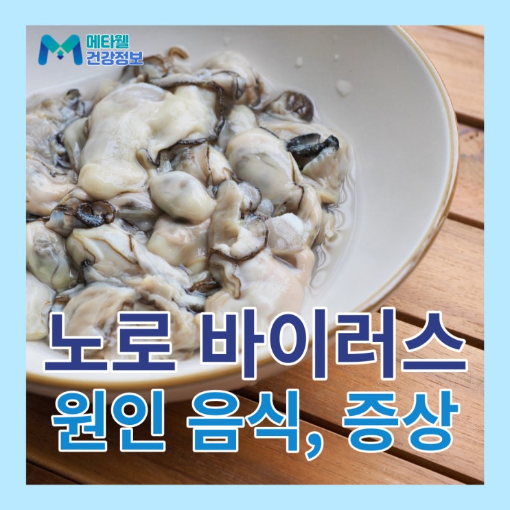  겨울철 식중독 '노로바이러스' 원인 음식과 증상, 잠복기, 예방법