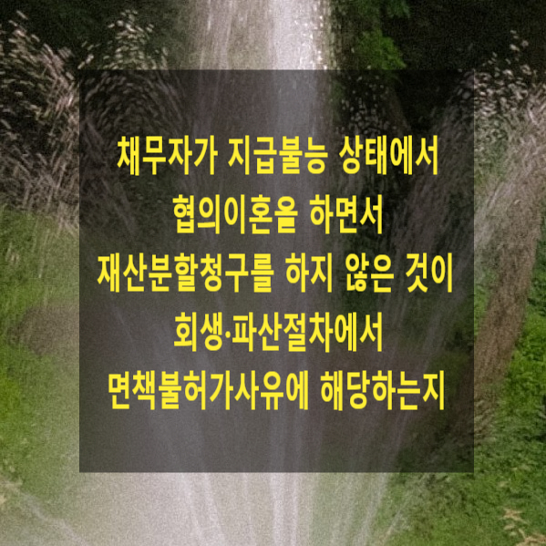  채무자가 지급불능 상태에서 협의이혼을 하면서 재산분할청구를 하지 않은 것이 회생·파산절차에서 면책불허가사유에 해당하는지