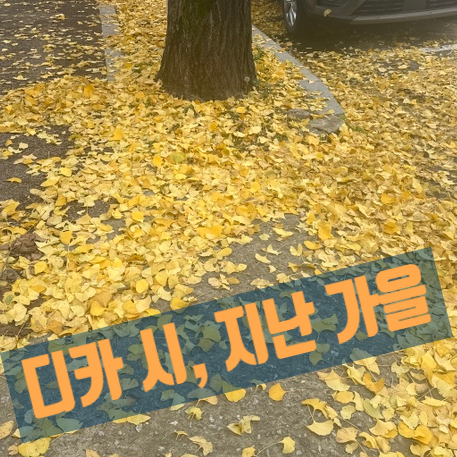  2023년 가을