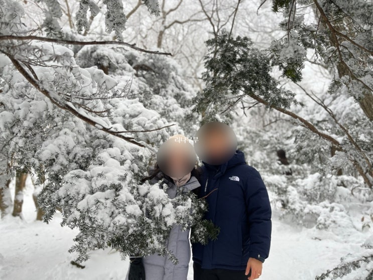  제주의 겨울왕국ㅣ한라산1100고지도로 드라이브ㅣ너무예쁘다:)