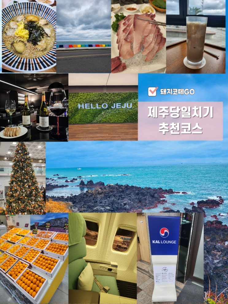  [돼지코떼GO] 제주당일치기여행_제주당일코스_제주여행_제주택시여행_제주뚜벅이_제주도_제주공항근처가볼만한곳_제주핫플레이스