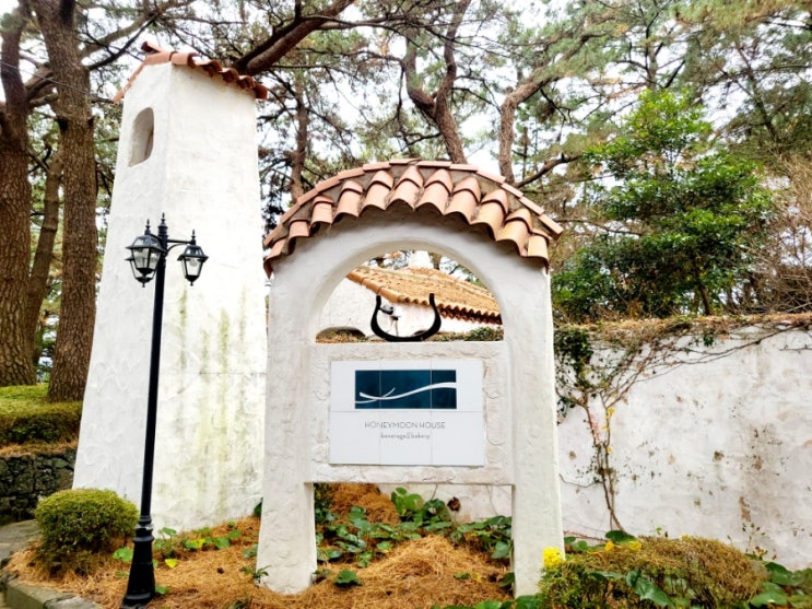  제주 허니문하우스 카페 수리남 촬영지