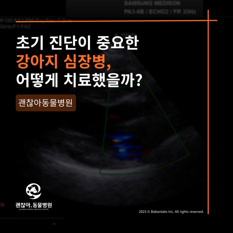  [진료케이스]평택 고덕 괜찮아 동물병원과 강아지 MMVD(평택 서탄면 동물병원)