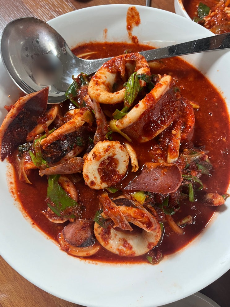  [대전 선화동 맛집] 풍자 대전또간집 대전 광천식당 오징어두루치기 두부두루치기 수육 주문팁