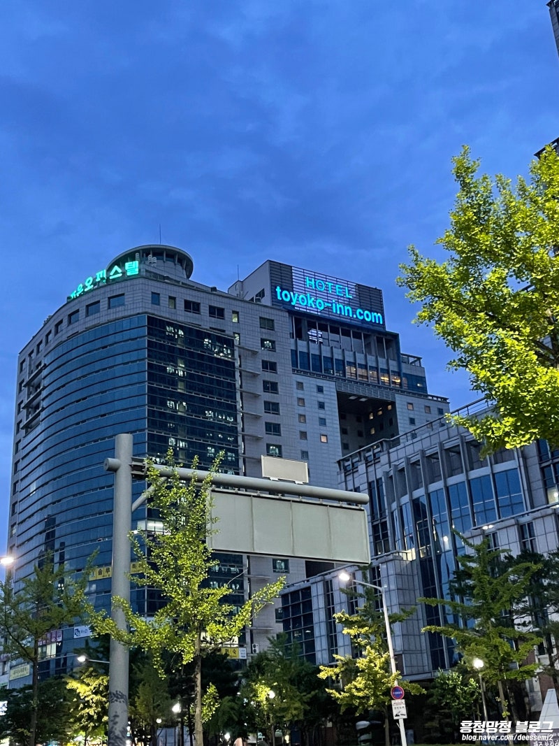 대전 호텔 가성비 좋은 숙소 토요코인호텔 대전정부청사앞 트윈룸, 조식 내돈내산 후기 : 네이버 블로그