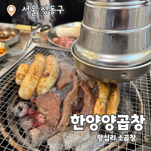 한양양곱창 : 왕십리 소곱창맛집 내돈내산 후기