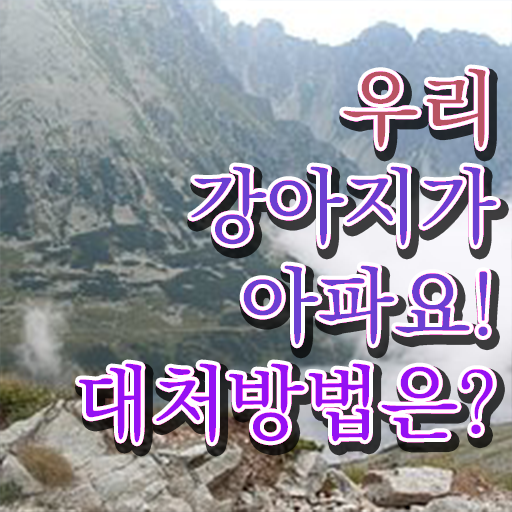  강아지 열날때 증상 대처방법 정보 필요하시죠 ?!