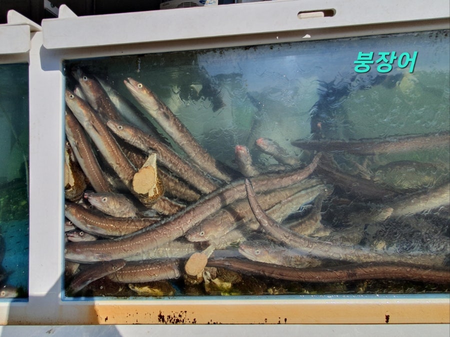 귀빈횟집 사진 6