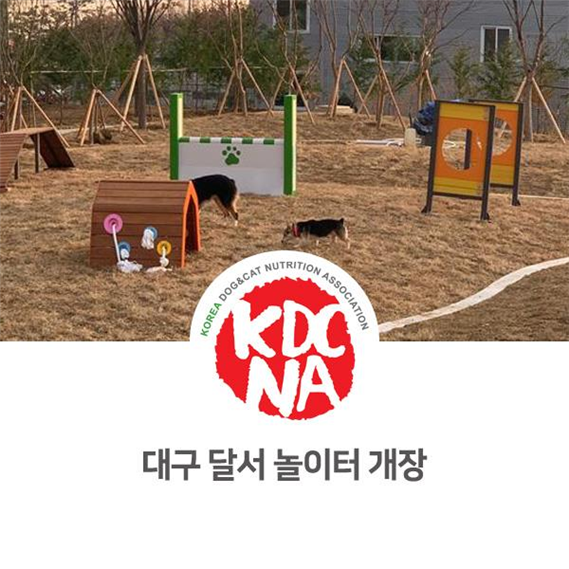  NO.1069 대구 달서 반려견 놀이터 개장