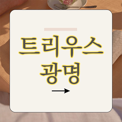  트리우스 광명 미분양 광명뉴타운 2구역 재개발 아파트 잔여세대 분양가격 광명동 줍줍 잔여세대 분양가격
