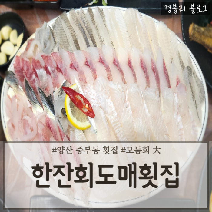  양산 중부동 횟집 싱싱한 회 맛집 '한잔회도매횟집'