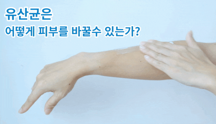  유산균은 어떻게 꿀 피부로 바꿀 수 있을까?