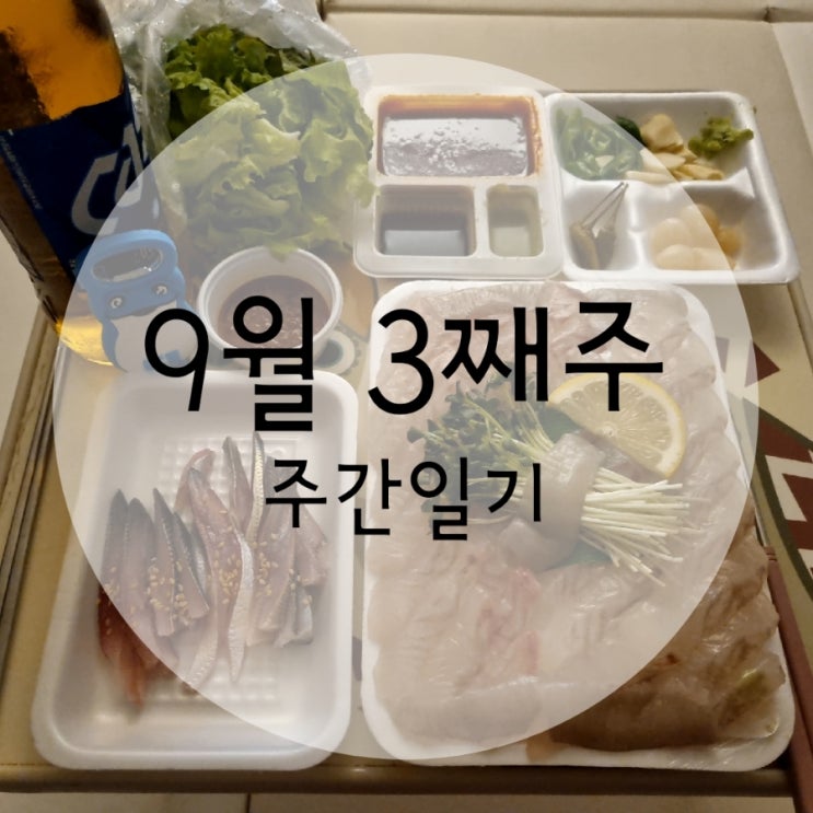  9월 3째주 주간일기 (운동하는이유)