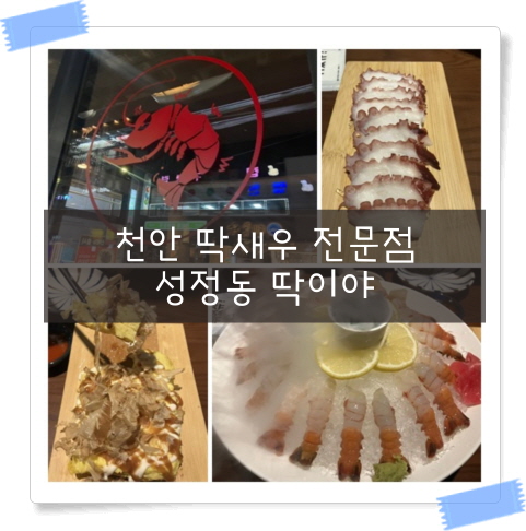  성정동 술집 분위기 좋은 딱새우 맛집 딱이야