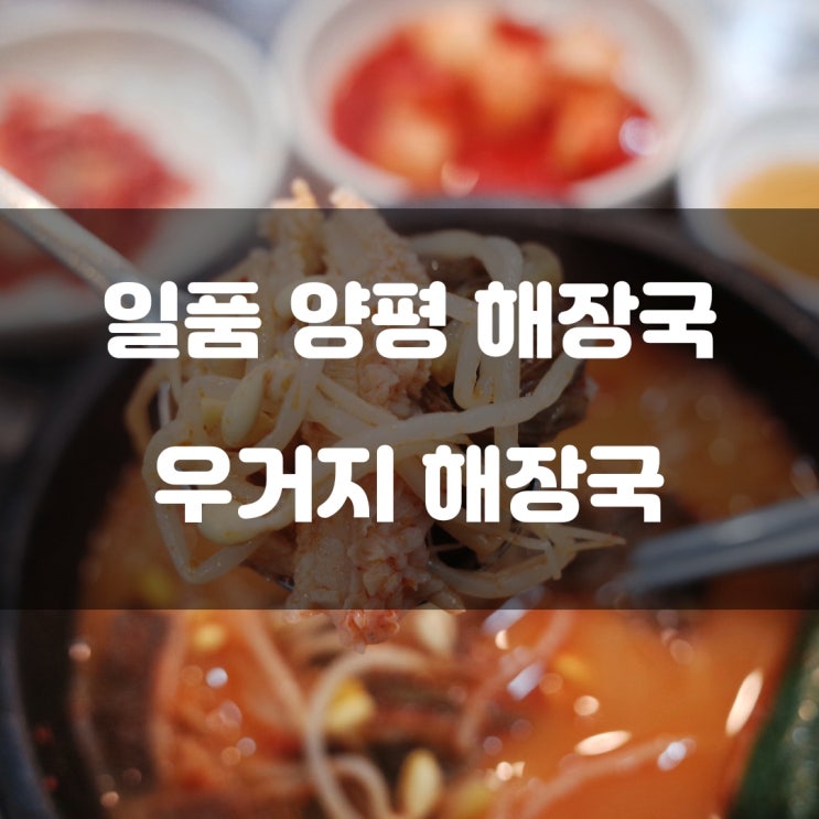 경기도 안산시) 일품 양평 해장국 - 대부도의 아침을 여는 뜨끈한 우거지 해장국 경기도 안산시) 일품 양평 해장국 - 대부도의 아침을 여는 뜨끈한 우거지 해장국