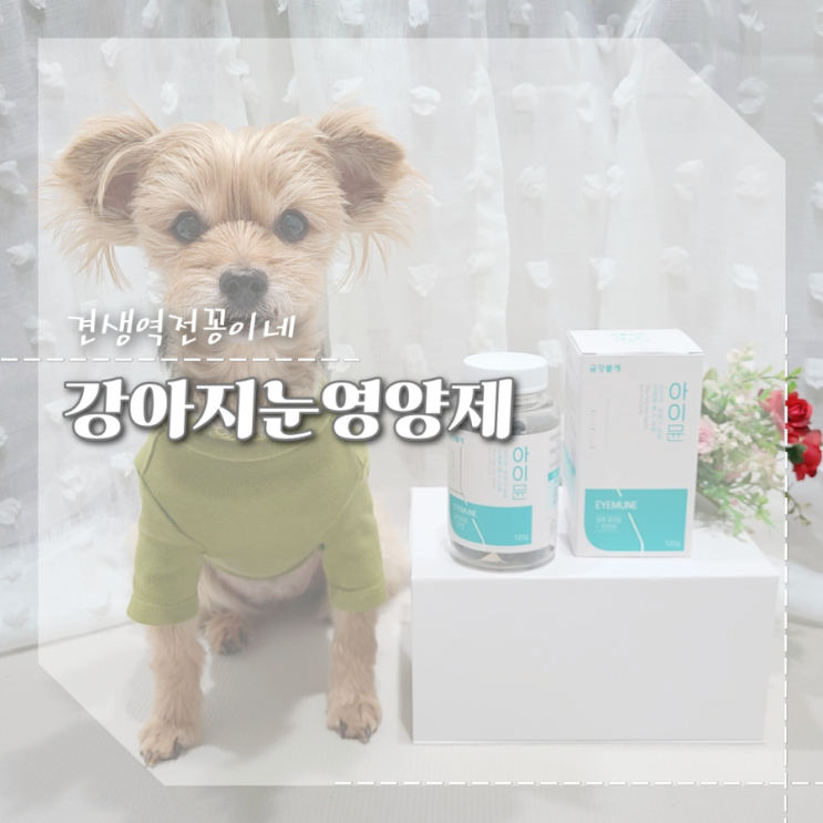  강아지 눈 영양제 아이뮨 눈건강 면역력 애견종합영양제