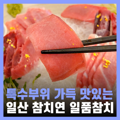  일산 라페스타 맛집 무한리필 참치 참치연