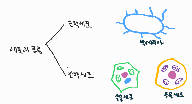 의대/생명과학 세특 주제탐구 - 유전자가위에 대한 상세한 이해. [ 1~ 4편 통합본] : 네이버 블로그