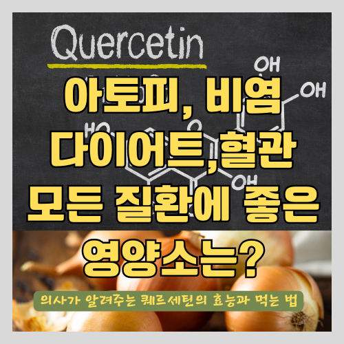  퀘르세틴의 효능과 함께 먹으면 좋은 과일 및 음식 추천 - 천연항히스타민제/AMPK/알레르기/아토피등 만병통치약
