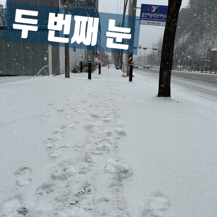  디카詩 4