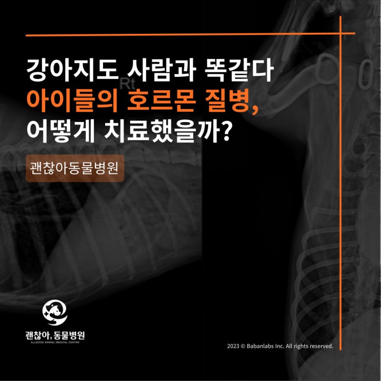  [진료케이스]평택 고덕 괜찮아 동물병원과 강아지 에디슨병(부신피질기능저하증)(평택 팽성읍 동물병원)