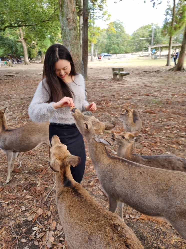 일본 오사카 여행 2일차 | 나라 사슴공원 가는 법 , 도톤보리 맛집
