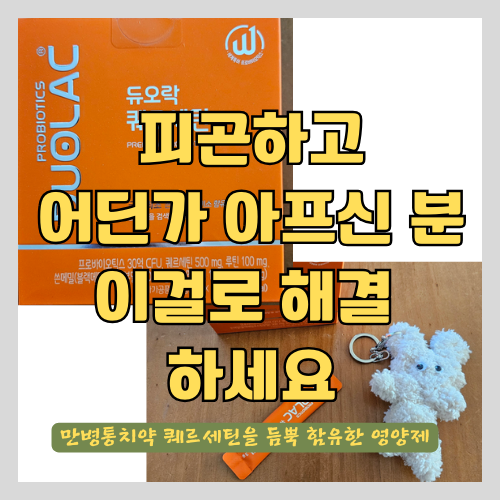  피로회복과 알레르기 개선에 좋은 영양제 추천 - 흡수율을 높인 듀오락퀘르세틴(브로멜라인과 루틴 함유)