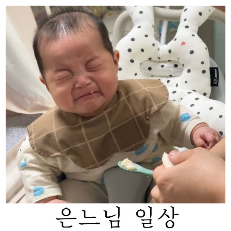  [은느님 일상]하루하루 표정이 늘어나는 귀염둥이 보는 은느님 일상
